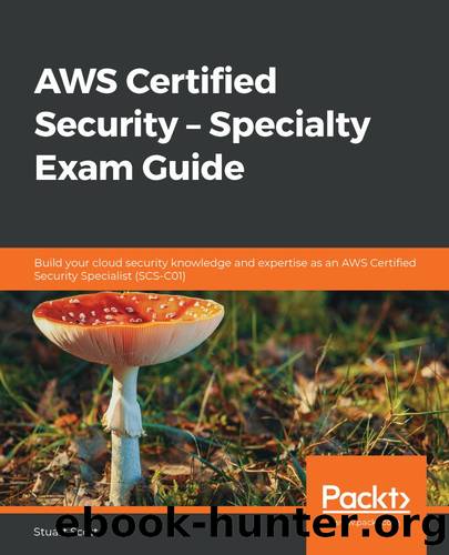 AWS-Certified-Machine-Learning-Specialty Vorbereitung